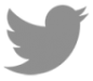 Twitter Logo Grey